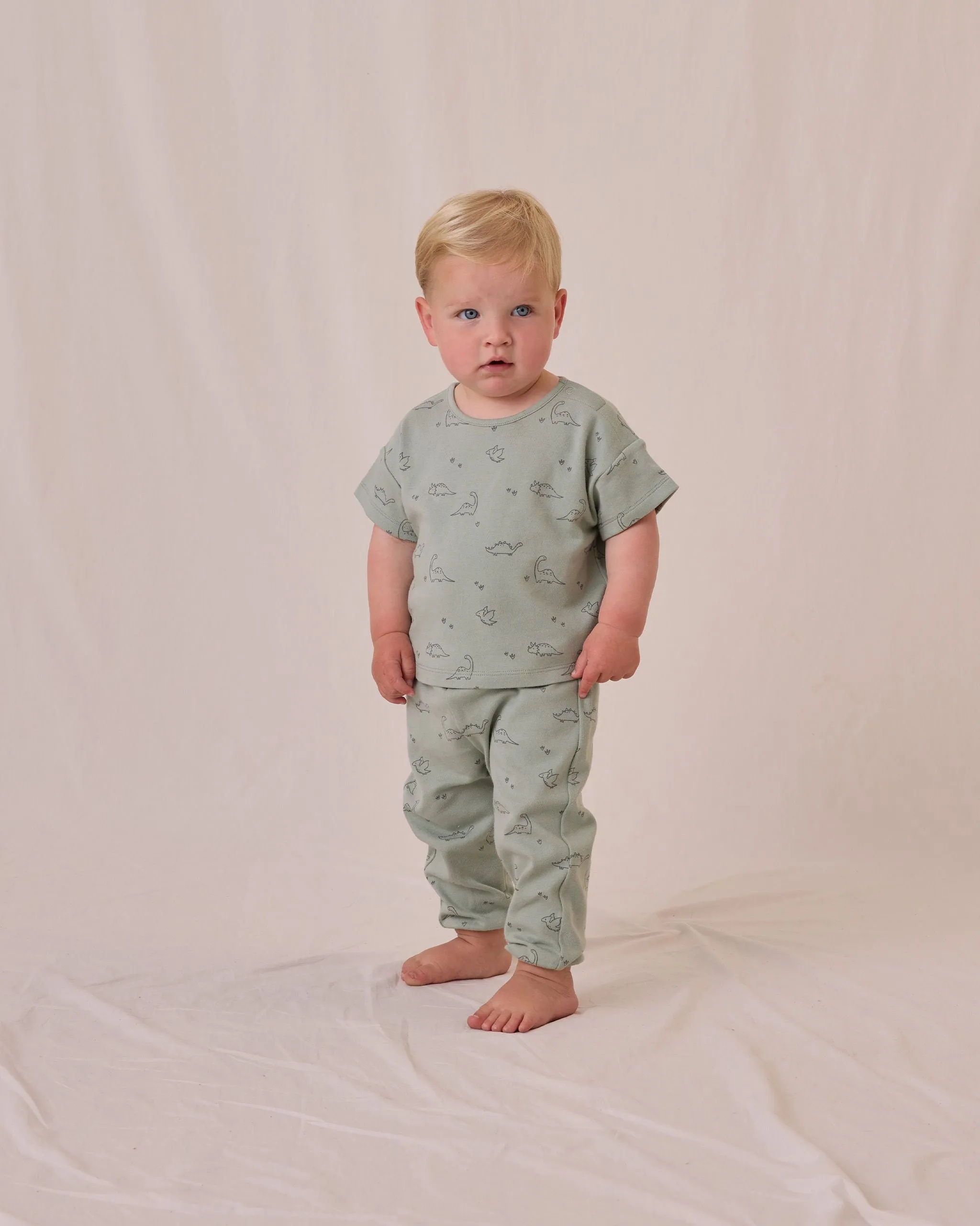 Baby Boy Sets | Jersey tee and Pant Set - Dino | Quincy Mae