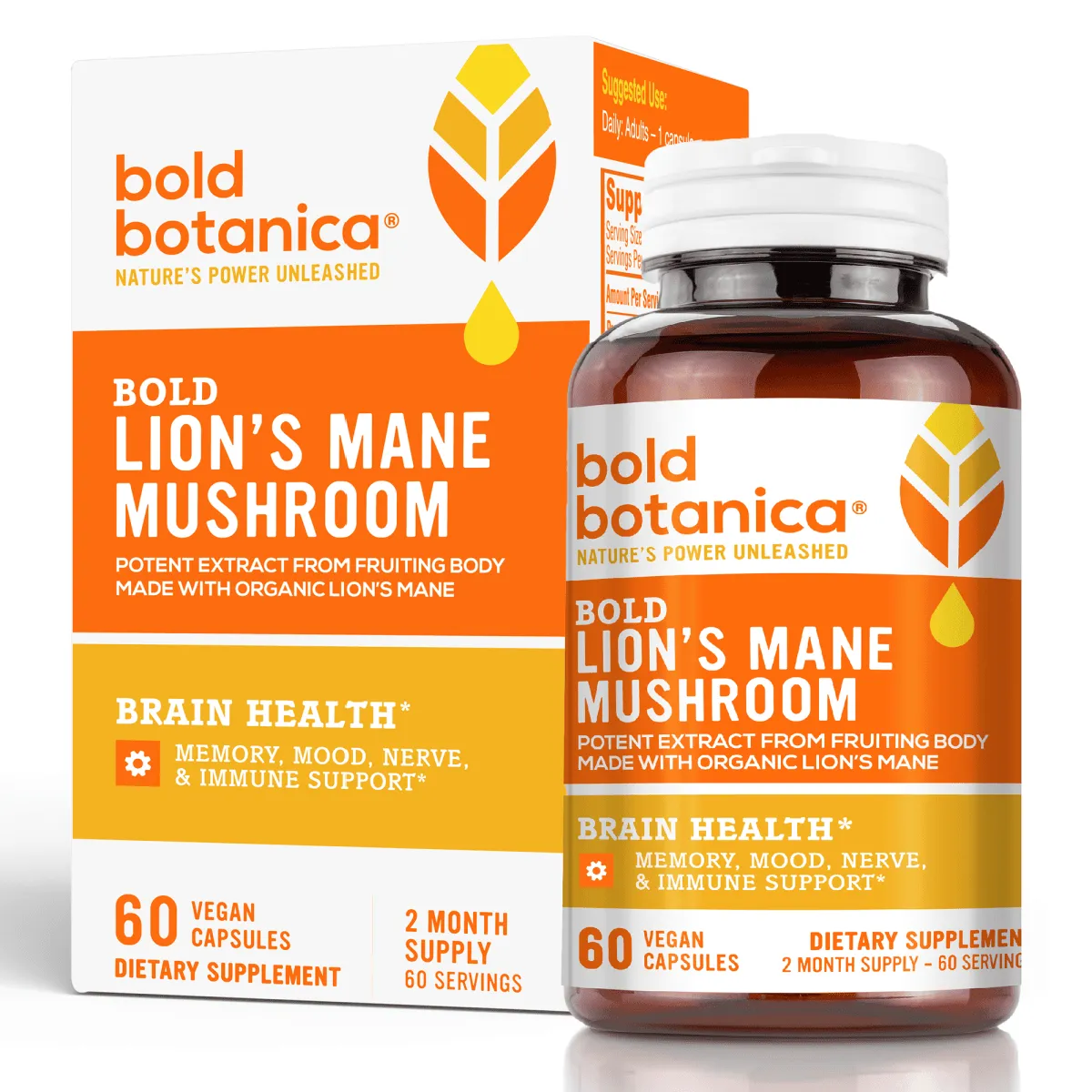 Bold Lion's Mane Mushroom