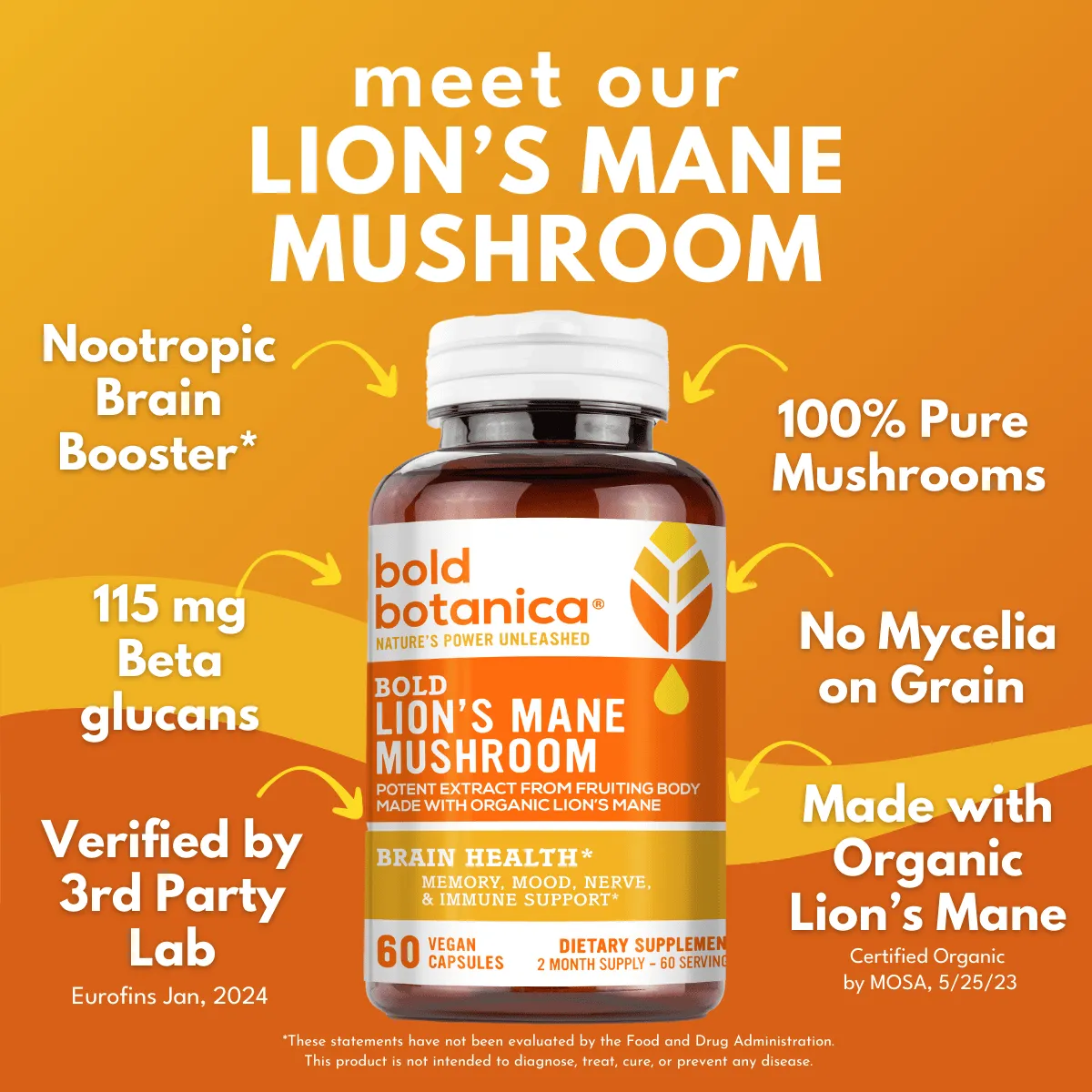 Bold Lion's Mane Mushroom