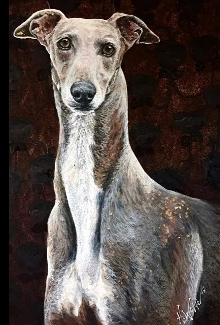 Gia - Greyhound