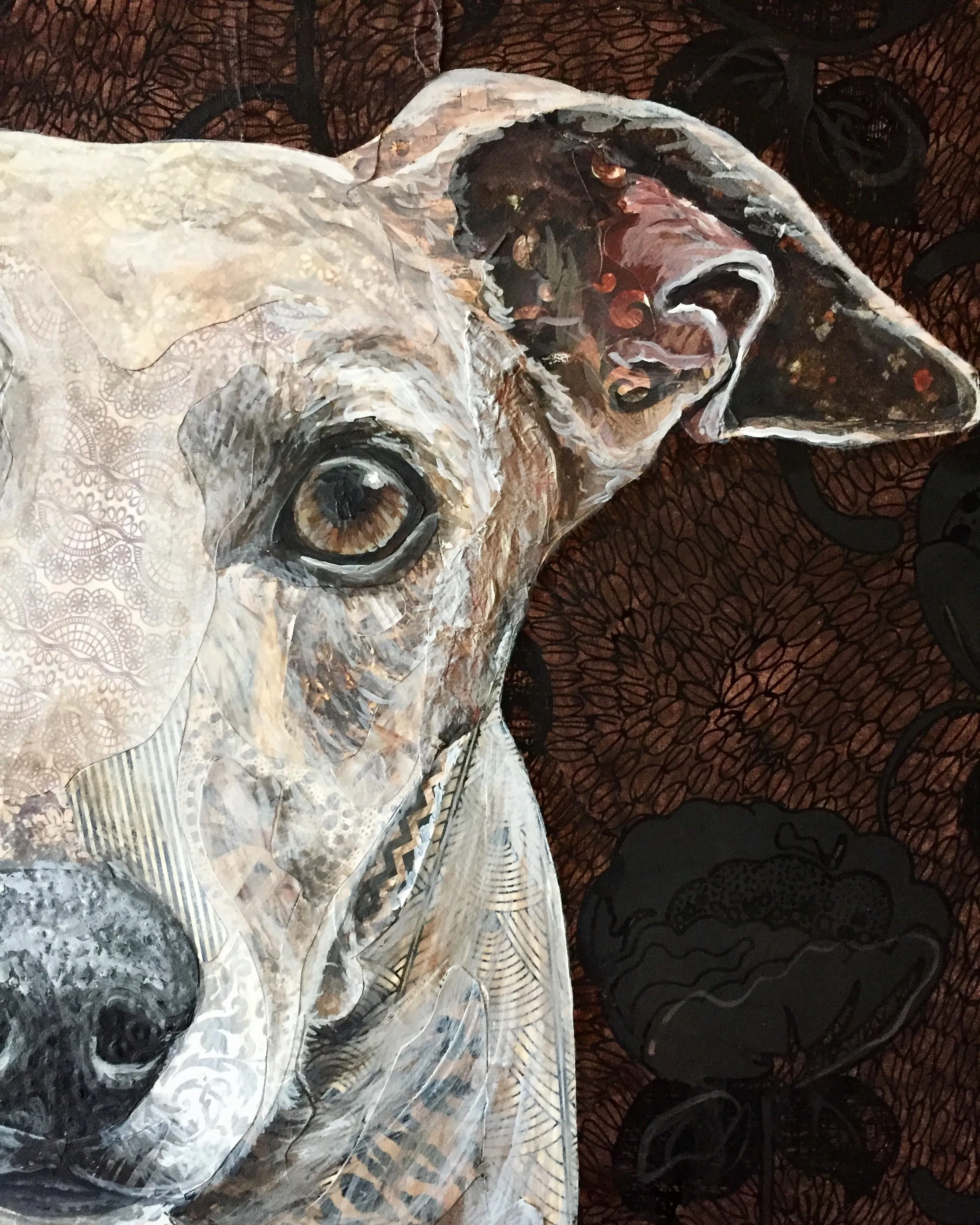 Gia - Greyhound