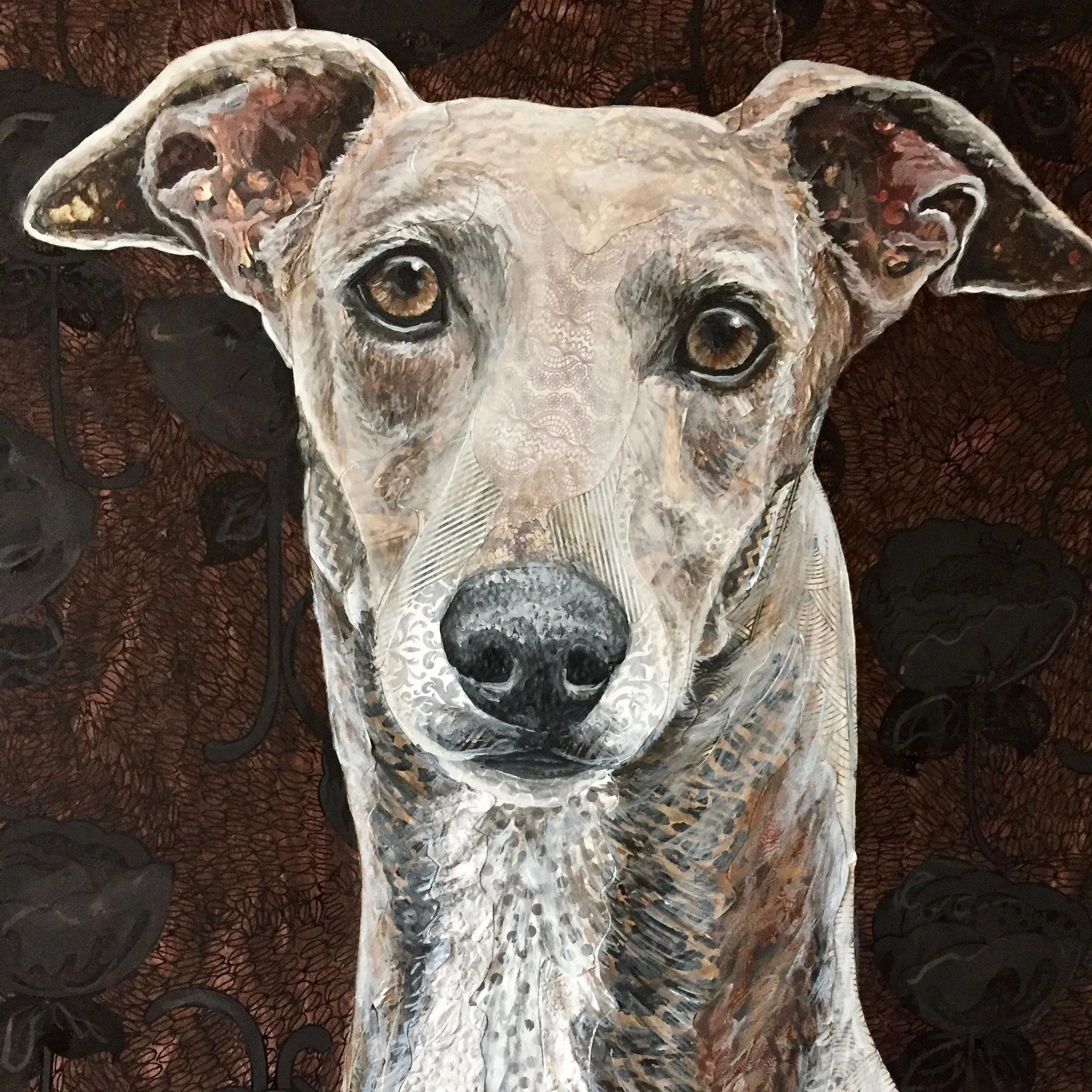Gia - Greyhound