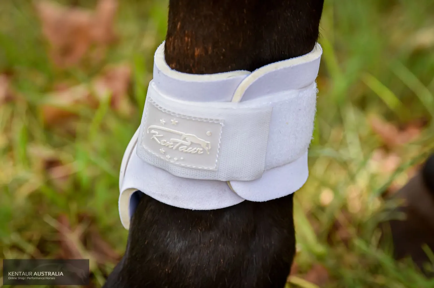 Kentaur ‘Profi’ Hind Jumping Boots