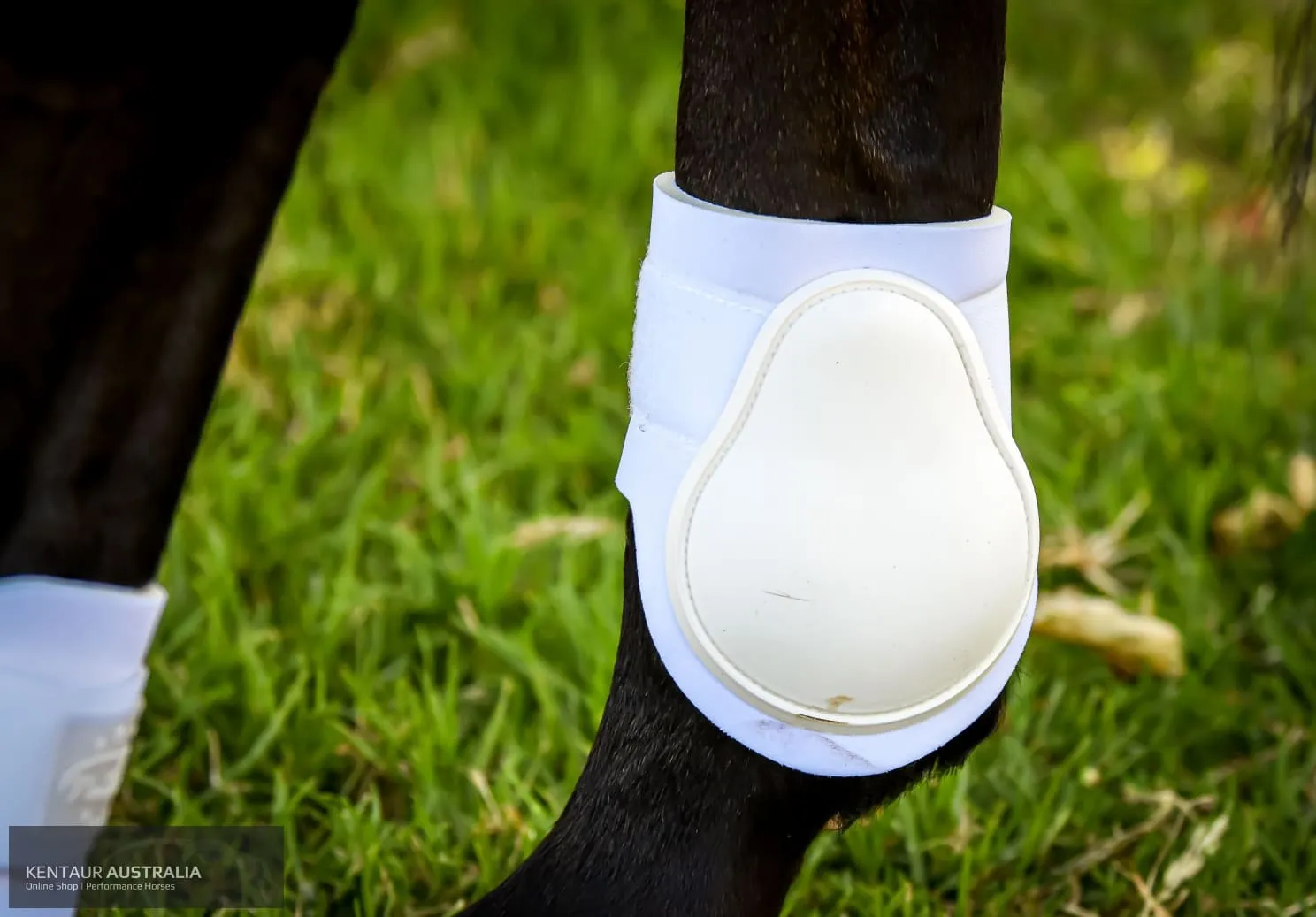 Kentaur ‘Profi’ Hind Jumping Boots