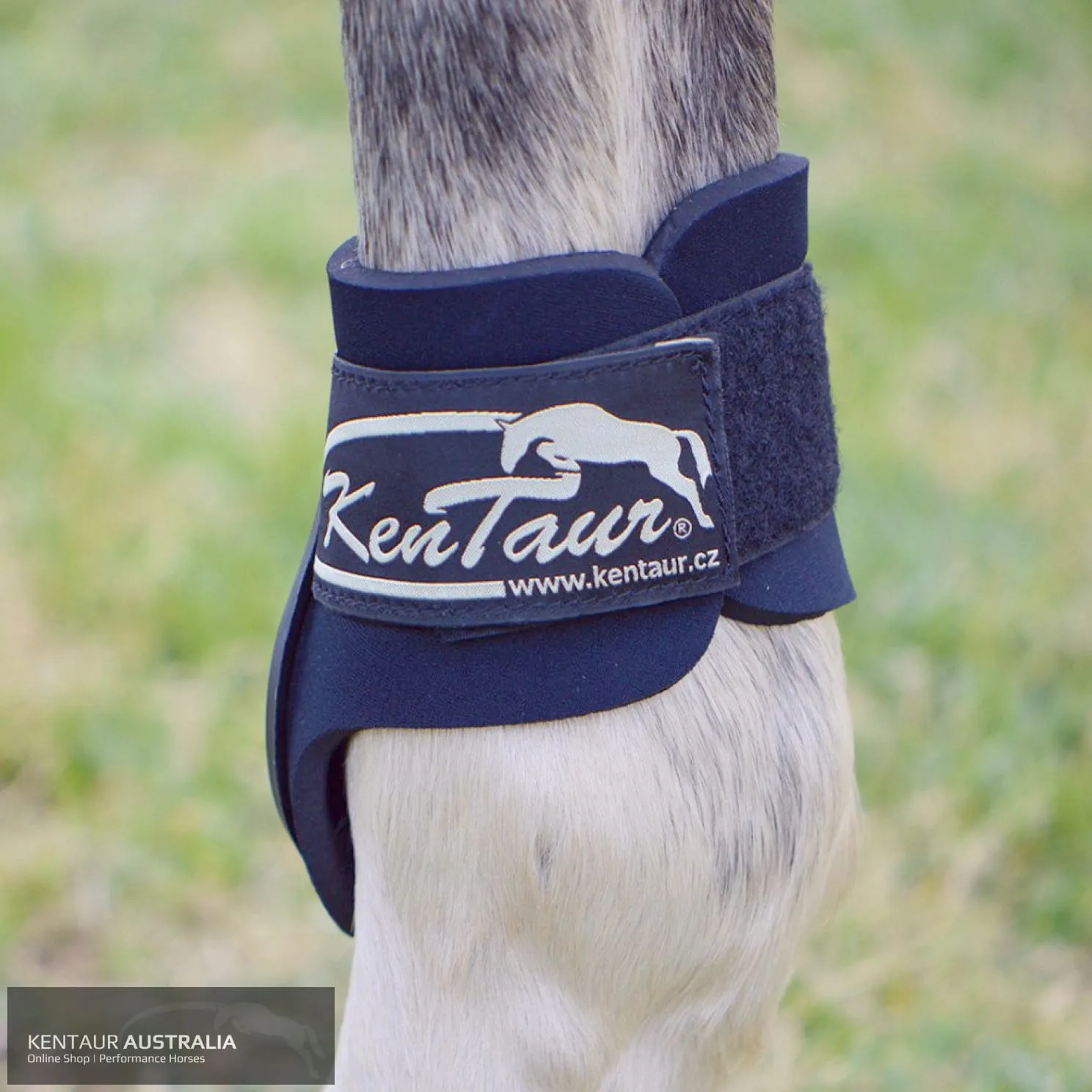 Kentaur ‘Profi’ Hind Jumping Boots