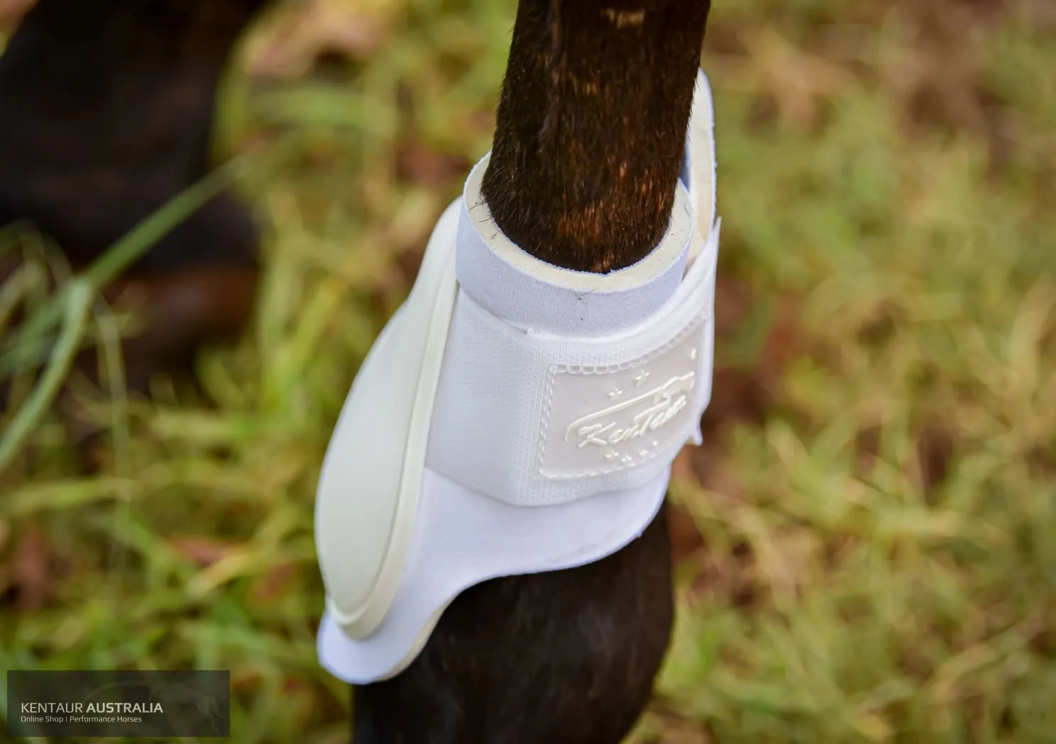 Kentaur ‘Profi’ Hind Jumping Boots
