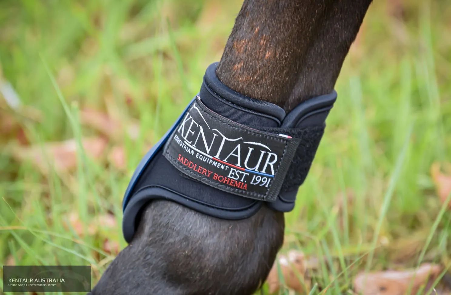 Kentaur ‘Profi’ Hind Jumping Boots