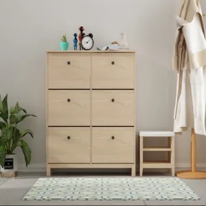 Modica 6-Drawer Shoe Cabinet
