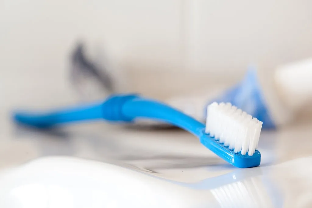 Preserve Toothbrush in lightweight pouch