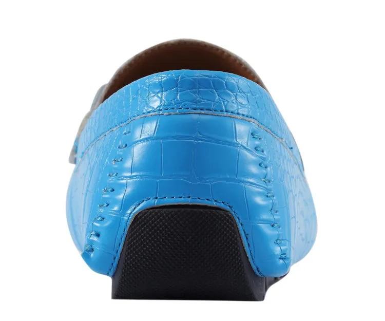Titus Pool Blue